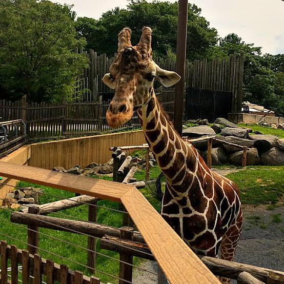 The Maryland Zoo in Baltimore
