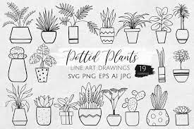 Potted Plants Svg Png Houseplants