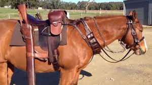 Securing A Neck Tethering Chain For Australian Lighthorse Parades