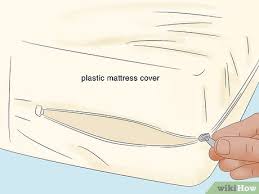 how to make bed bugs come out of hiding