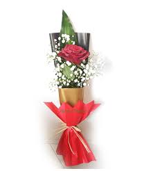single red roses with nice wrapping