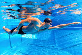 freestyle stroke overview and swimming