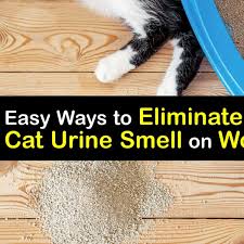 cat urine smell on wood get rid of