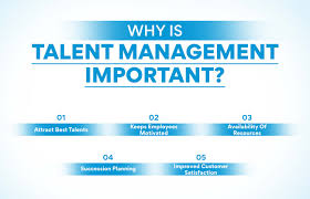 understanding talent management and its
