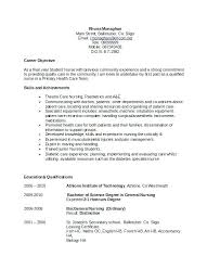 Resume Statements Examples Sample Professional Resume