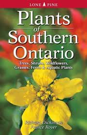 Wild edible plants of ontario this guide covers a number of edible plants in ontario, canada including the toronto, ottawa and hamilton areas and the georgian bay islands, pukaskwa, bruce peninsula, point pelee, and st. Plants Of Southern Ontario Wild Muskoka Botanicals