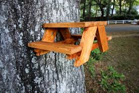 squirrel picnic table hanging feeder