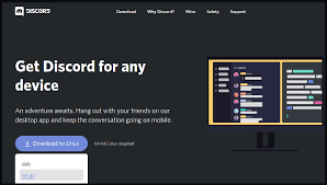 install and configure discord in manjaro