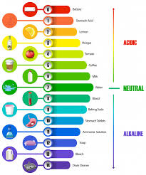 The Ph Scale Infographic Vector Free Download