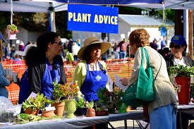 master gardener application process