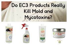 does lysol kill mold mold help for you