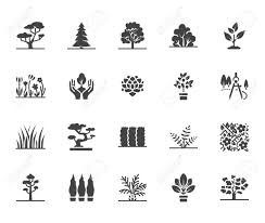 Trees Flat Glyph Icons Set Plants Landscape Design Fir Tree