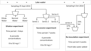 Flow Chart To Illustrate The Experimental Set Up From