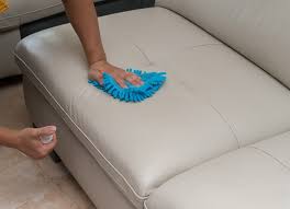 to clean cat vomit out of your couch