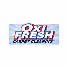 12 best boise carpet cleaners