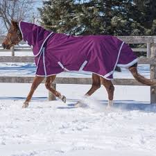 horse rugs polar fleece rugs s