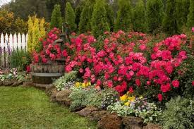 Flower Beds Stone Edging Will Separate