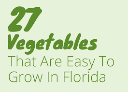 27 Easy Vegetables To Grow In Florida