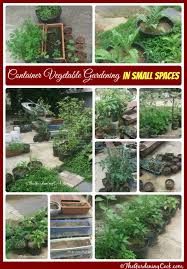 Container Vegetable Gardens For Small
