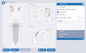 E Vds Plus Dental Charting System 1 Year Subscription