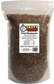 tasty worms dried mealworms bird