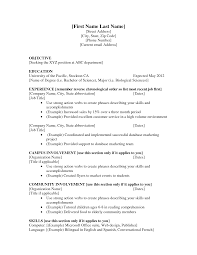 First Job Resume Examples Thatretailchick Me