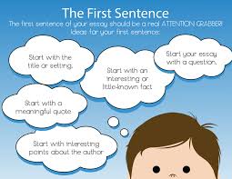 How to Structure Sentences in an Essay   Video   Lesson Transcript    