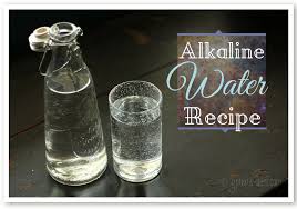 alkaline water recipe gwen s nest