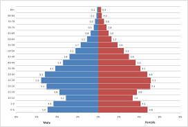 Creating A Population Pyramid In Excel Surfing The Aether