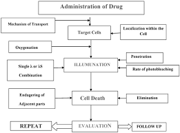 8 Flow Chart Of Drug Administration Download Scientific