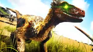 Check spelling or type a new query. Deinonychus Added Feathered Raptor With Latching Ark Survival Evolved Modded Youtube