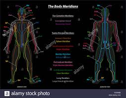 Meridian System Chart Of Tcm Traditional Chinese Medicine