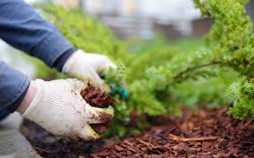 Autumn Mulching Top Tips For Your