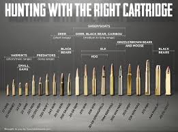 16 All Inclusive Caliber Rounds Chart