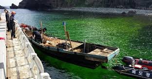 ºÏÇÑ ¾î¼± »ïôÇ׿¡ ´ëÇÑ À̹ÌÁö °Ë»ö°á°ú