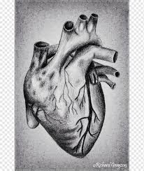 Ilustrasi patah hati yang bikin hati baper provoke online. Sketsa Anatomi Menggambar Jantung Cara Menggambar Hati Manusia Tangan Jantung Monokrom Png Pngwing