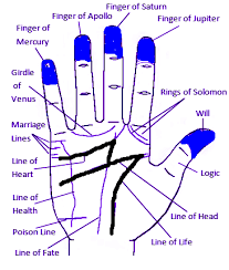 There are certain signs upon this line that can determine if the. Money And Wealth Line In Palmistry With Sudden Gain Of Wealth Lines Palm Reading Palmistry Palm Reading Charts