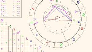 Chart Elements Parts Of The Astrological Birth Chart