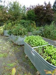 16 Vegetable Gardening Nc State