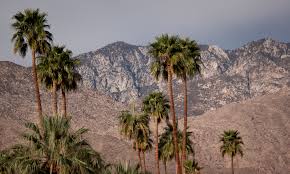 12 unique things to do in palm springs