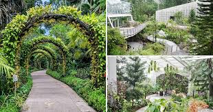 national orchid garden in s pore