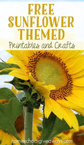 Shortest to tallest & tallest to shortest! Free Sunflower Themed Printables And Crafts Homeschool Giveaways