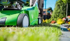 Types of lawn care and lawn maintenance one size does not fit all when it comes to lawn care prices. Why When And How To Dethatch A Lawn Park Falls True Value Park Falls Wi
