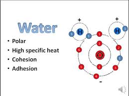 water chemistry basics