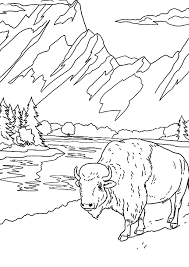 For boys and girls, kids and adults, teenagers and toddlers, preschoolers and older kids at school. Set Of Realistic Animal Coloring Pages Print Or Download For Free Razukraski Com