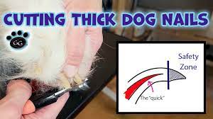 cutting thick dog nails with grinding