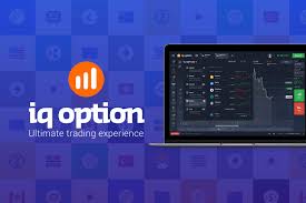 Iq Option Review 2020 Beginners Guide Is It A Safe Broker