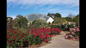 international rose garden adelaide