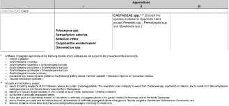 .images appendices ashford writing center / apa example paper with appendix for example, table a1 would be the first table in an appendix a. The Entry For Cactaceae Spp In Appendix Ii As An Example For Download Scientific Diagram
