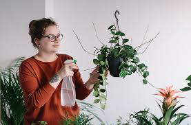 6 Common Indoor Plant Mistakes You